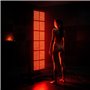 Ruby 2.0 RedLight therapy 3600W